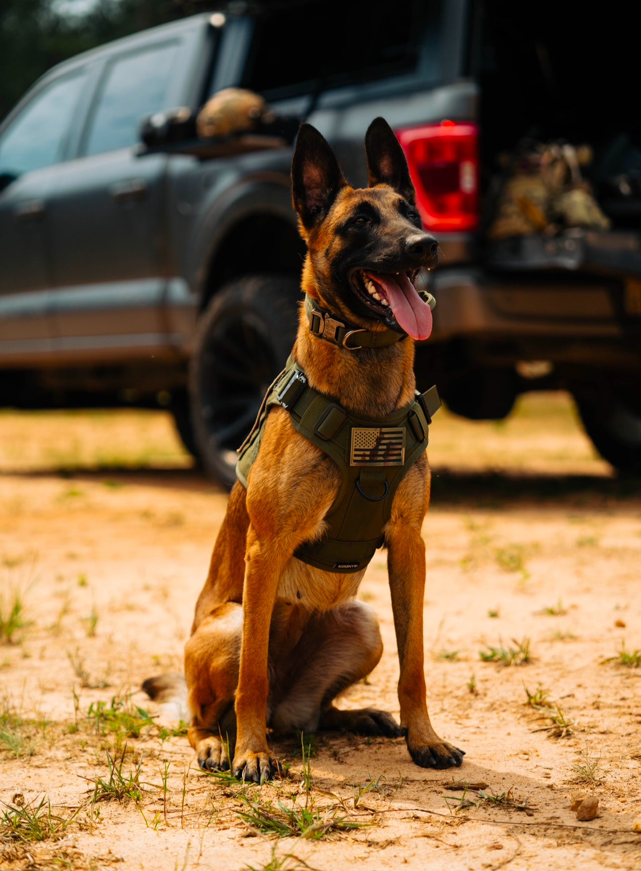 Banger Dog Harness
